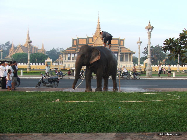 Elephant washing in front of the Grand Palace, Phnom Penh, Cambodia Elephant washing in front of the Grand Palace, Phnom Penh, Cambodia