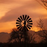 dude-ranch Photo: Let Ideas Compete via flickr.com