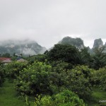 IMG_2274 Khao Sok National Park